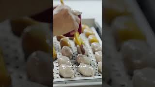 100 year old crystal dumpling in JB #malaysia #johorbahru #jbfood #malaysiafood