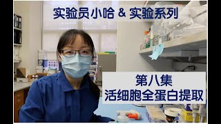 Visual Protocol #8 - Whole protein extraction from live cells 实验员小哈&实验系列   第八集