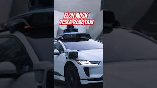 Elon Musk's Tesla Robotaxi - The Future of Transportation is Here