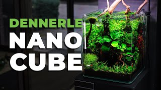 MESMERIZING 20L Nano Aquarium with Orange Sakura Shrimp