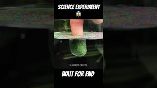 science experiment #dailyhack #shortvideo #video #viralvideo #viral #5minutecrafts #lifehacks
