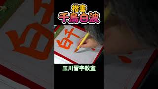 楷書「千鳥白波」 #shorts #習字 #japanesecalligraphy  #日本習字