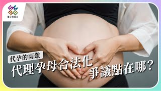 代理孕母合法化，爭議點在哪？｜代孕的兩難｜公視 #獨立特派員 第811集 20230726