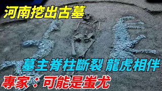 河南挖出古墓，墓主脊柱斷裂，龍虎相伴，專家：可能是蚩尤【老海說奇史】#趣味歷史#古代歷史#歷史故事#歷史人物#歷史冷知識