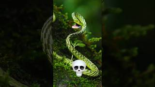 snake transformation 💀#snake
