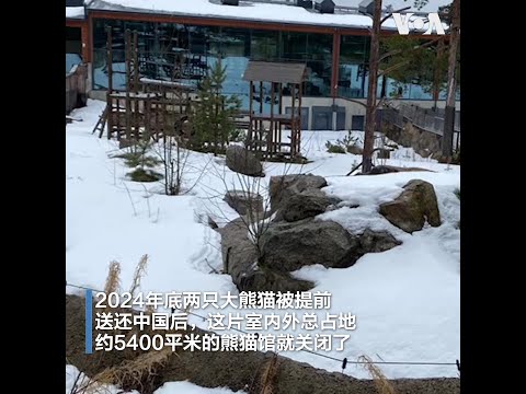 芬兰为什么送回中国租借的大熊猫？
