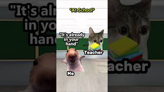 CAT MEMES 😺 Random Superpower ... #catmemes #funnnycat