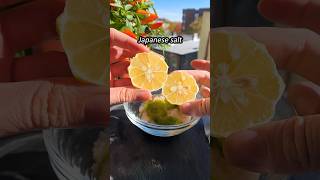 Secret Ingredient Yuzu Salt