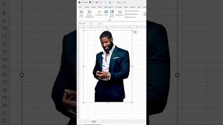 Add Image and Remove Background in Excel in 2024