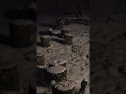 Зима повернулась