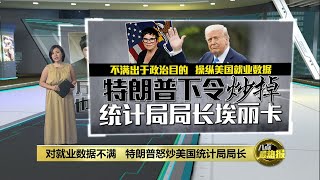 不满美国7月份就业数据   特朗普下令炒掉 统计局局长埃丽卡  | 八点最热报 02/08/2025