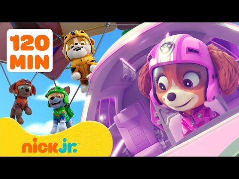 PAW Patrol Air Rescue Adventures! #3 w/ Rocky 🚁  120 Minutes | Nick Jr.