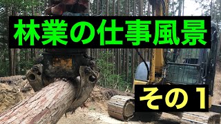 林業の仕事風景　その１