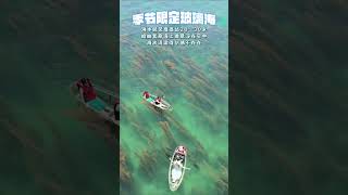 Crystal-Clear Seawater | Weizhou Island, Beihai, Guangxi