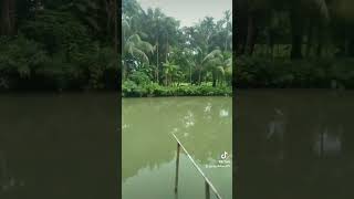 #sylhet #traditional pond