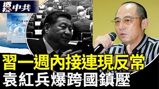 習黨魁一週內接連出現反常現象 辦公室被撤？白俄媒體報導洩露祕密｜國會論壇：中共跨國鎮壓 挑戰美國家安全【透視中共】2025-06-07
