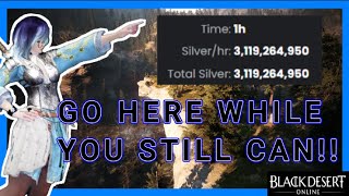 The BEST ZONE in Black Desert Online until Next Maintenance!!