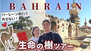 【バーレーン旅行Ⅱ】神秘的な生命の樹ツアー✨ローカル感あふれるマナマスーク🇧🇭 Tour for Tree of Life in Bahrain/Manama Souq［ENG SUB］