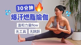 30分钟暴汗燃脂瑜伽 | 无器械无跳跃，温和力量FLOW，新手友好！【周六野Zoey】