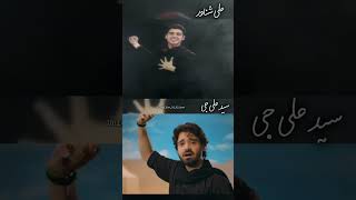 Ali Shanawar Ali jee Noha Ali Akbar ع #alijee #alishanawar #nohastatus #noha #alijeestatus #viral
