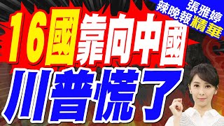 東盟峰會結束16國向中靠攏｜印媒觀點:再見華盛頓，你好北京；東盟轉向中國，團結對抗美國關稅｜蔡正元.介文汲.張延廷深度剖析?【張雅婷辣晚報】精華版 @中天新聞CtiNews