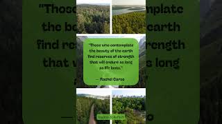 #NatureQuotes #NatureWisdom #NatureLove #BeautyOfNature #NatureInspires #PeacefulNature #ForestMagic