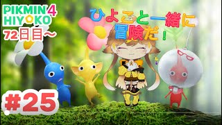【ピクミン４ 72日目~】ひよこと不殺の誓い！☆になったら写経と腹筋ローラーが待つ配信！【#25ひよりひよこ】