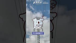 罷免投票定在726與缺電有關？李鴻源：民眾、產業界將忍無可忍#時事 #新聞 #大罷免 #李鴻源 #缺電