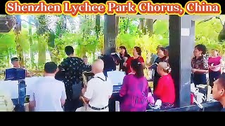Real footage of the Shenzhen Litchi Park Choir paying tribute to their youth with singing!