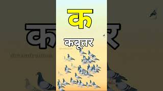 Ka se Kabutar hindi rhymes #shorts #ksekabutar #youtubeshorts #dreamfruition