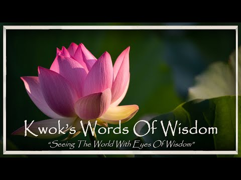 Kwok's Words Of Wisdom 2