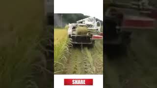 half feed harvester machine