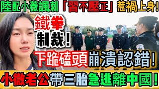 炸裂！諷刺「習不壓正」惹禍上身！老公帶三胎急忙逃離中國！台灣陸配小薇討200塊補償金怒嗆：「台灣人我都不怕！怕你們？」陳書記半夜敲門！下跪磕頭崩潰認錯！舔共陸配搬回台灣！｜Reaction Video