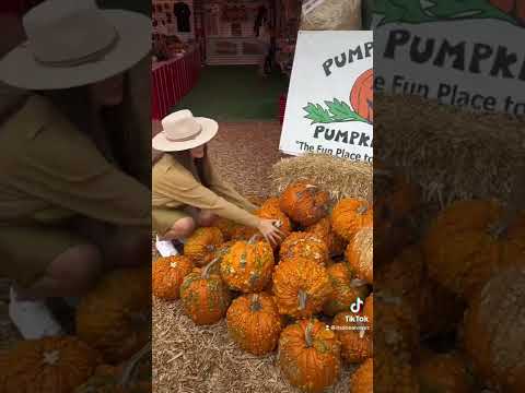 CUTE PUMKIN PATCH DATE #pumpkincarving #pumkinpatch #fundate