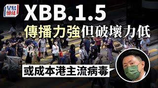 XBB.1.5首現香港｜孔繁毅：傳播力強但破壞力低 XBB.1.5或成本港主流病毒