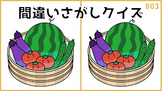 【間違い探しクイズ】夏のイラストで脳トレ！高齢者向け無料レク【中級レベル】#803