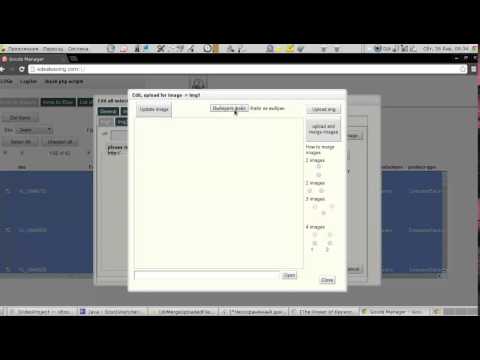 merge all selected items in the webapp Automation System in a cloud for sell on Amazon, Ebay