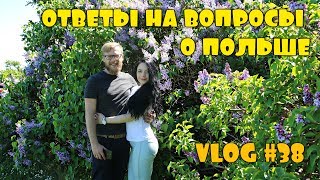 Жизнь в Польше/Blue Card/Работа программистом/квартиры/VLOG#38