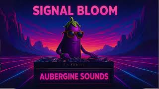 Aubergine Sounds - Signal Bloom