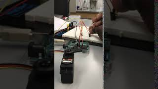 IMG 1121
