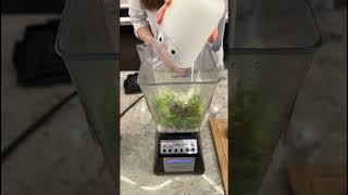 SENSE營養師推薦料理📖抗氧化蔬果優酪飲🥬🥑