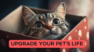 🐱 Cool Gadgets for Your Pets
