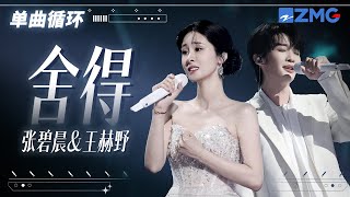 1h 单曲循环🎵张碧晨王赫野《舍得》唱出心碎的痛感「 用尽伤人的话去说 都没想能不能收得回啊」#天赐的声音6 20250507