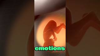 ---🌸 Watch Your Baby Grow – Pregnancy Week by Week Explained 🌸 #unfrezzmyaccount