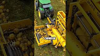 How the Chinese farmers are earning thousands of dollars from these crops ?