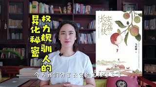 长安的荔枝 深度解读 第五章 权力规驯|#长安的荔枝 #長安的荔枝 #马伯庸 #職場 #人性掙扎 #權力規則#職場生存#人性掙扎#文學 #職場中規則與權力的關係