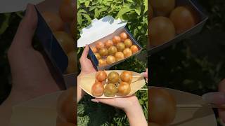 京都の1000万再生以上バズったお店まとめ🍡#たもグルメ #japanesefood