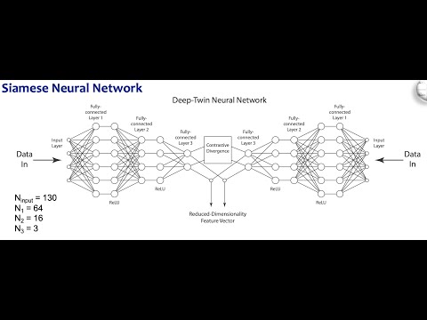 Siamese Twin Neural Network: AGU 2021