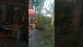Manipur Kolkata Muglai dum Biryani near Lamsang oil pump.