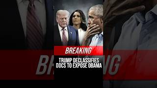 TRUMP Declassifies Obama Admin Documents